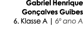Gabriel Henrique Gon alves Guibes 6. Klasse A | 6º ano A